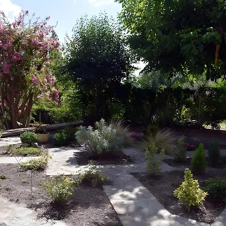 Les Mille Et Collines 펜션 Saint-Germain-du-Salembre